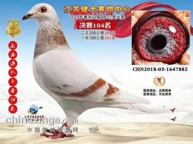 通力電梯電話，通力公棚賽鴿公棚